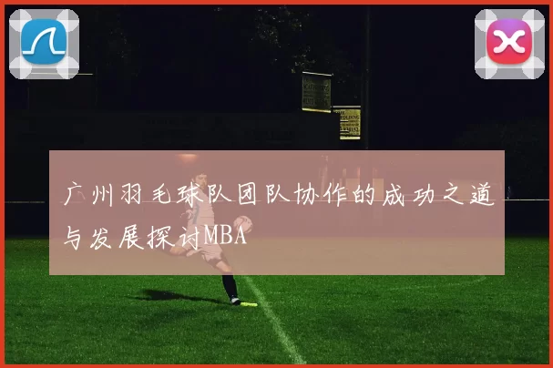 广州羽毛球队团队协作的成功之道与发展探讨MBA