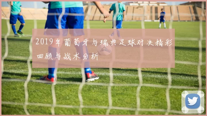 2019年葡萄牙与瑞典足球对决精彩回顾与战术分析