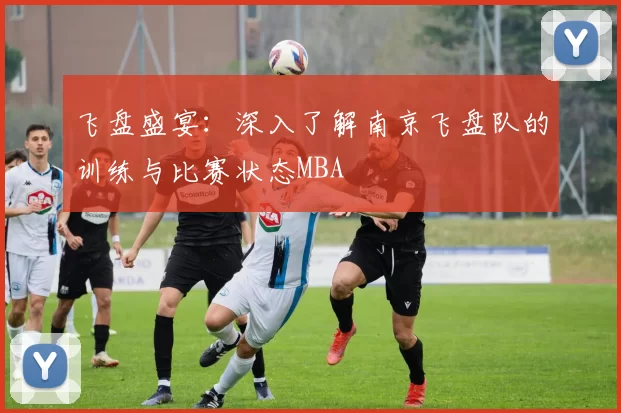 飞盘盛宴：深入了解南京飞盘队的训练与比赛状态MBA